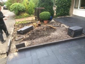 Boomverzorging Vinkeveen